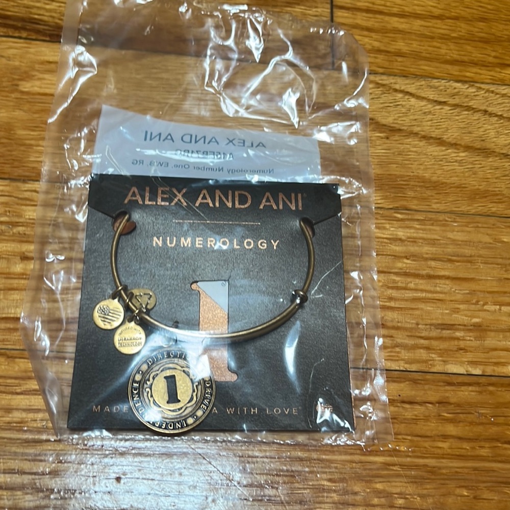 Alex & Ani Numerology # 1 - Charm Bracelet